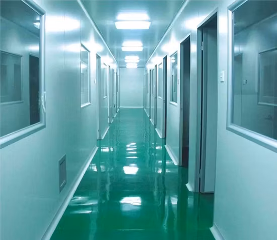 Dolcificante naturale Estratto di frutto di monaco 20% 25% 50% 70% Mogroside V Luo Han Guo Estratto di frutto di monaco in polvere Concentrato di frutta di monaco Succo Estratto di erbe Frutto di monaco